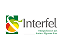 CVE Interfel
